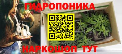 гидропоника Рыбинск