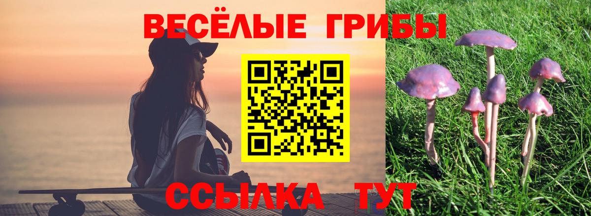 Галлюциногенные грибы прущие грибы  Вход с VPN  Псилоцибиновые грибы Psilocybine cubensis  Муром 
